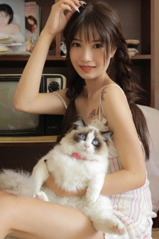 披荆斩棘的靓女短剧免费播放